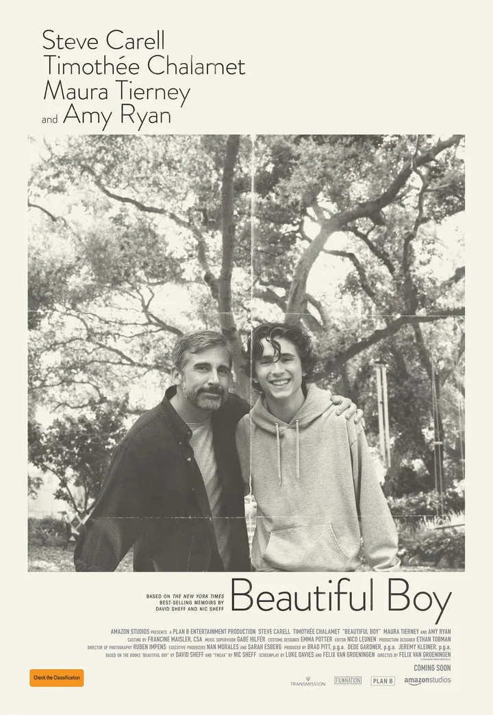 Beautiful Boy (2018) film poster